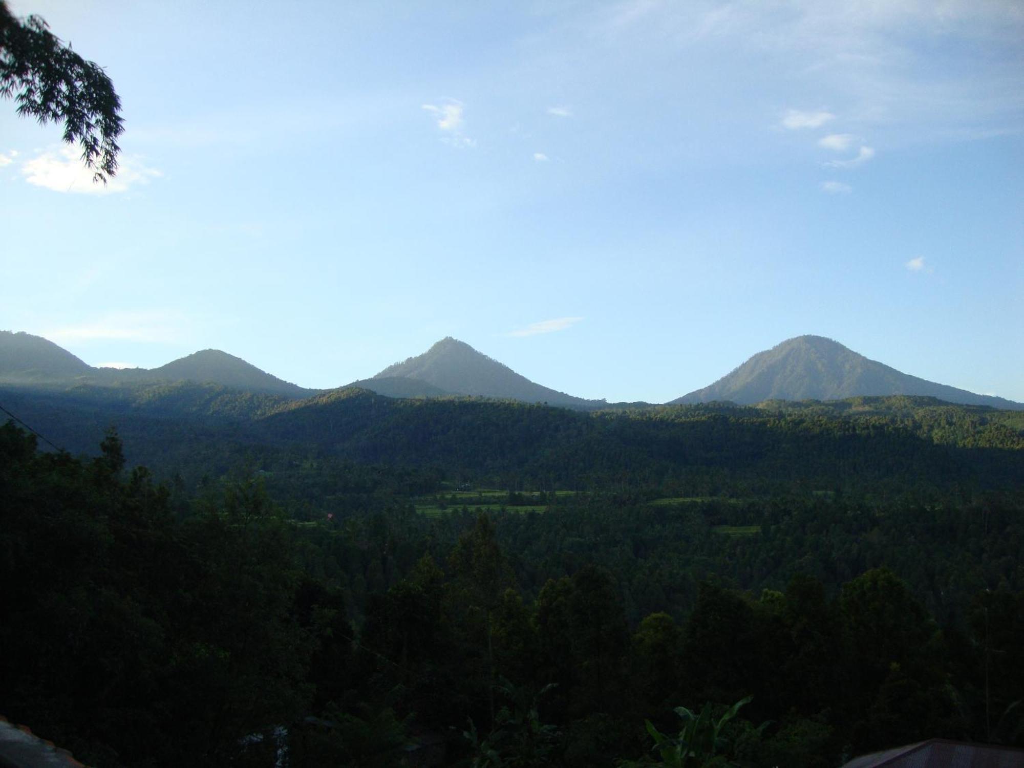 Edy Homestay Munduk  Ngoại thất bức ảnh